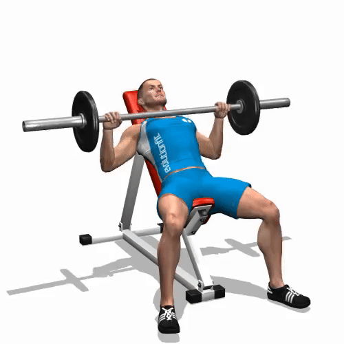 "bmurl":"https://www.bing.com/th/id/OGC.5b191878916185659b9f1f12430ca56f?pid=1.7&rurl=http%3a%2f%2fwww.healthkartclub.com%2fblog%2fwp-content%2fuploads%2f2017%2f02%2fincline-bench-press.gif&ehk=aS8g5WllW1q%2bG5Bu7t5PPf0w7TgIWLmQZrg4MdkaoCw%3d